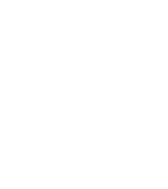 All men are created equal but only the best are born in november model negru pe tricou