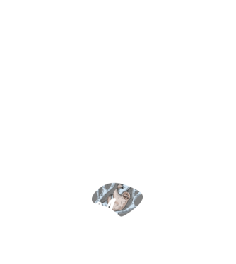 what does the sloth say model negru pe tricou
