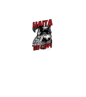 Petrecere de burlac - haită de lupi masculi alfa model turcoaz pe tricou