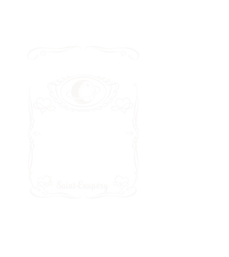pentru absolvire model negru pe tricou