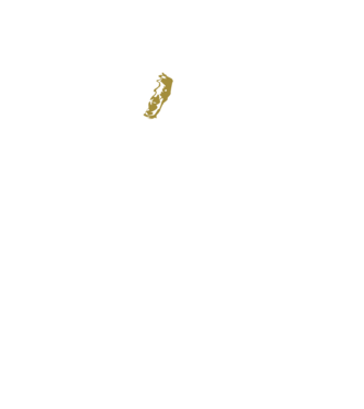 King in the north 2c model negru pe tricou