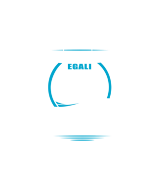 Toți bărbații se nasc egali camioane model alb pe tricou