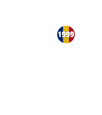 made in 1999 model turcoaz pe tricou