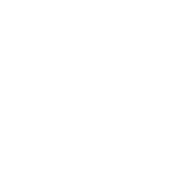 LOVE Staffordshire Terrier model albastru jeanși pe tricou