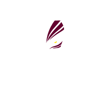 Ichigo Hollow Mask model negru pe tricou