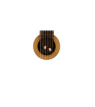 Guitar prison model negru pe tricou