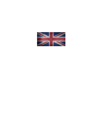 UNITED KINGDOM model negru pe tricou