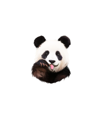 Panda face model turcoaz pe tricou