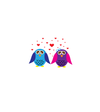 Owl Love model gri pe tricou
