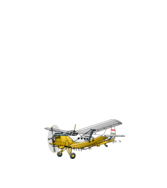 Avioane model alb pe tricou