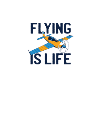 Avioane model alb pe tricou