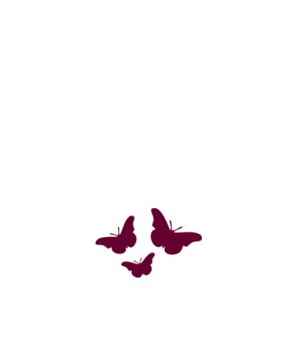 Butterflies model alb pe tricou