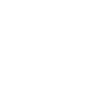 Box evoluție model negru pe tricou