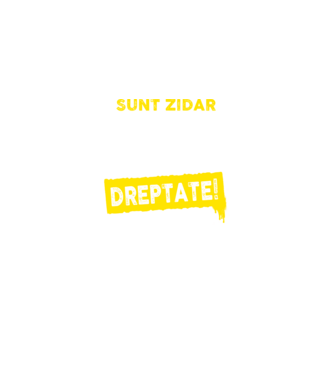 Sunt zidar, pentru a economisi timp, să reținem că am întotdeauna dreptate! model albastru regal pe tricou