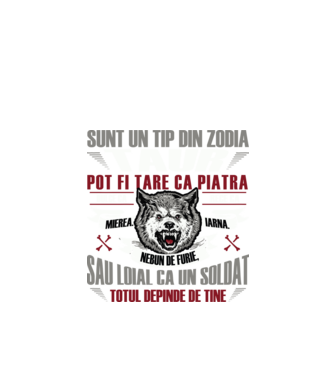 Sunt un tip din zodia Taur model negru pe tricou