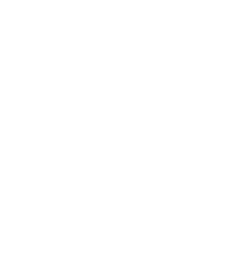 Mr. model gri închis pe tricou