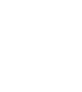 LOVE Staffordshire Terrier model negru pe tricou