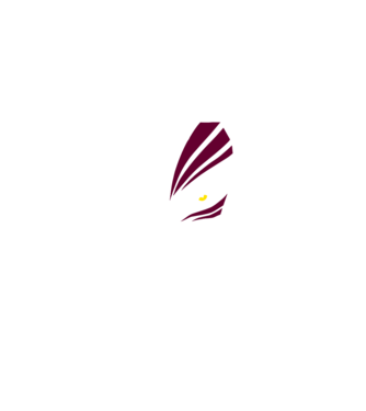 Ichigo Hollow Mask model negru pe tricou