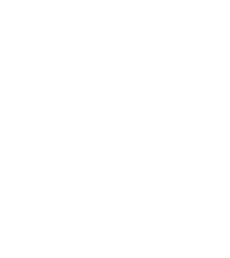 Box evolution model negru pe tricou