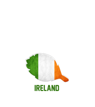 Steag irlandez model alb pe tricou