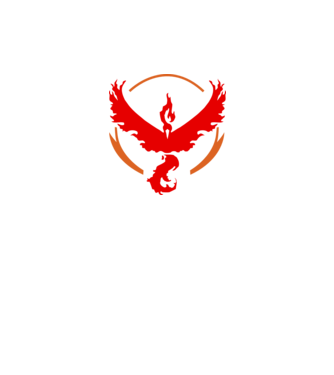 Valor team logo model alb pe tricou