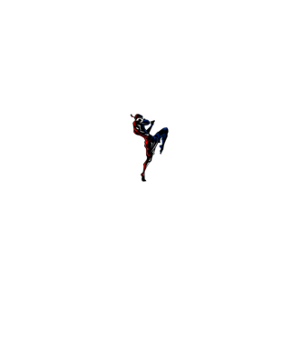 Muay Thai model negru pe tricou
