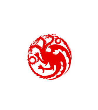 Targaryen model gri pe tricou