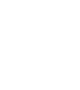 Crazy Cat Ladies are born in February model negru pe tricou