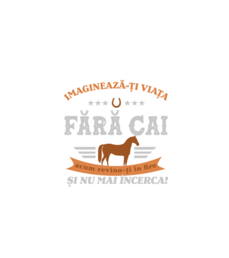 Imaginează-ți viața fără cai, acum revino-ți în fire și nu mai încerca! model negru pe tricou
