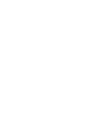 Crazy Cat Ladies are born in January model negru pe tricou