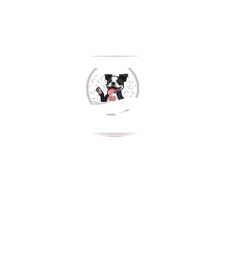 Toți sunt egali, dar numai cei mai buni devin stăpâni de boston lght model turcoaz pe tricou