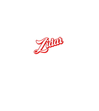 Cel mai bun ZIDAR din lume model negru pe tricou