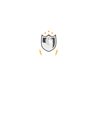serviciu de securitate - securitate - persistență - 24 de ore pe zi model negru pe tricou