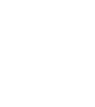 LOVE Havanese model negru pe tricou