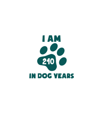 Dog Year - 210 model gri pe tricou