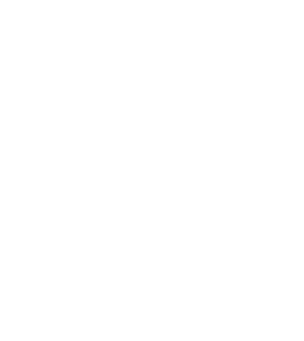 LOVE Border Collie model negru pe tricou