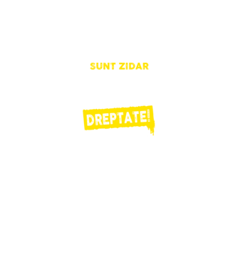 Sunt zidar, pentru a economisi timp, să reținem că am întotdeauna dreptate! model albastru regal pe tricou