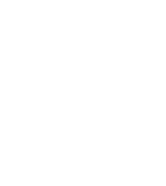 România made in model negru pe tricou