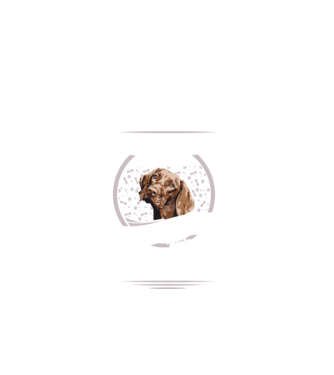 Toți sunt egali, dar numai cei mai buni devin stăpâni de vijla lght model negru pe tricou