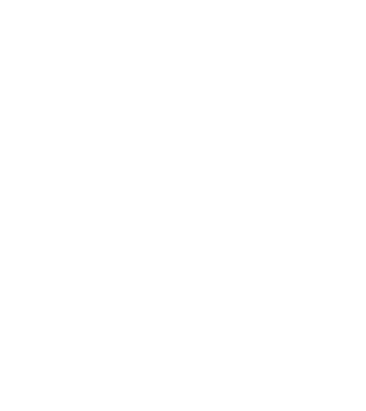 Bug fixed model negru pe tricou