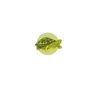 Turtle model negru pe tricou