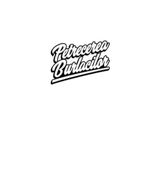 petrecerea burlacilor model gri închis pe tricou