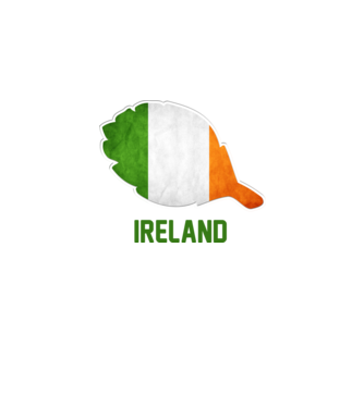 Steag irlandez model alb pe tricou