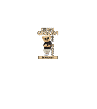Teddy cel cool August model negru pe tricou