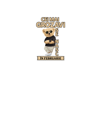 Teddy cel cool februarie model negru pe tricou