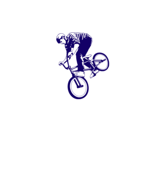 BMX stunt model gri pe tricou