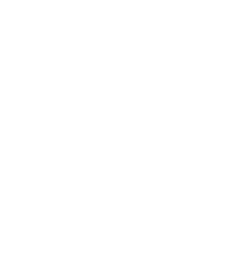 EarthLogo model negru pe tricou