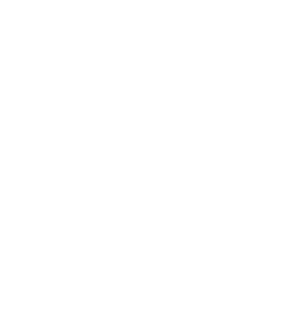Crazy Cat Ladies are born in November model negru pe tricou