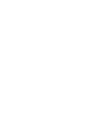 Crazy Cat Ladies are born in June model negru pe tricou