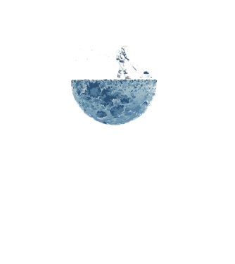 Funny astrounaut model negru pe tricou